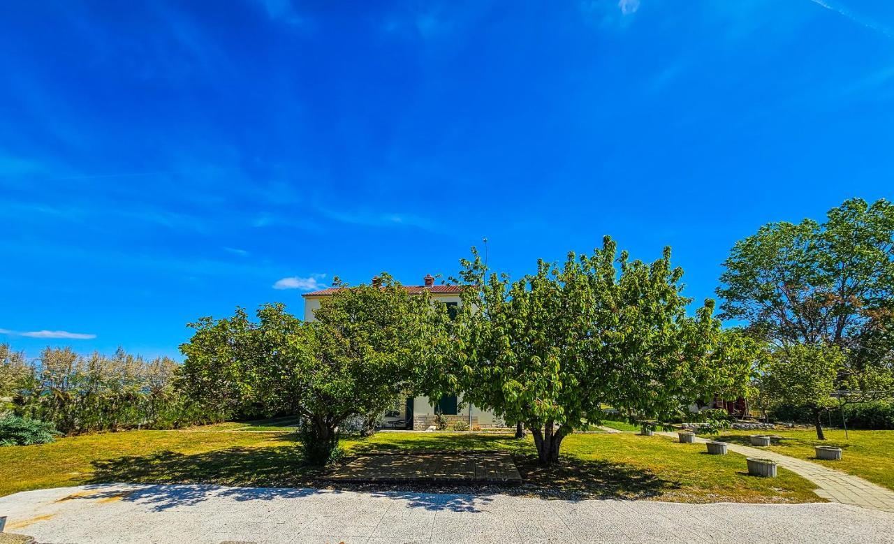 Aenona Sea View Apartments นิน ภายนอก รูปภาพ